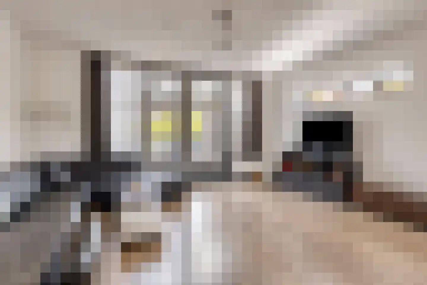 Valeriusstraat 2 Schiedam thumbnail 6