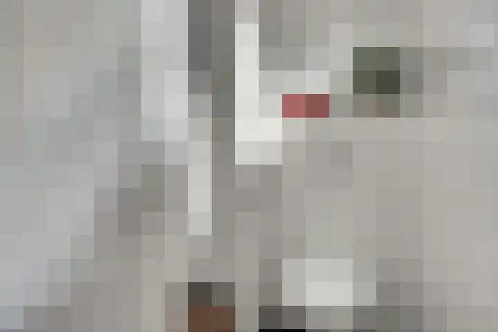 Valeriusstraat 20 Almelo thumbnail 26