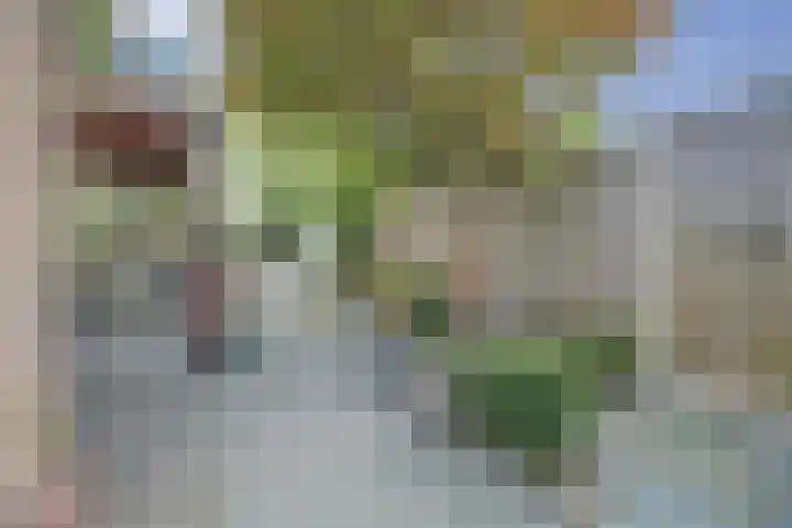 Valeriusstraat 20 Almelo thumbnail 35