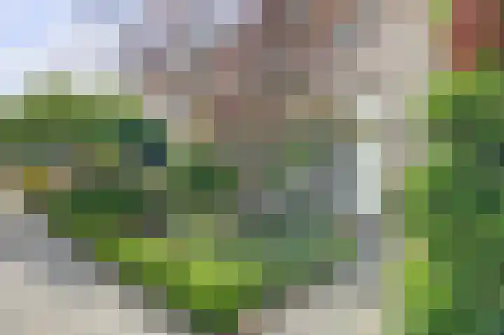 Valeriusstraat 20 Almelo thumbnail 4