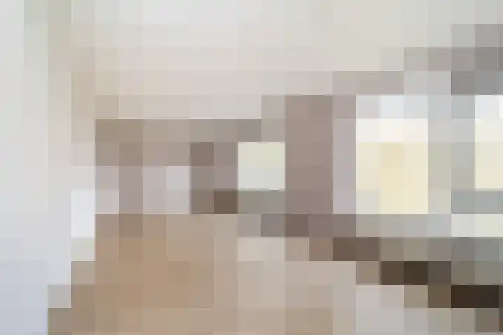 Valeriusstraat 204 Leiden thumbnail 9
