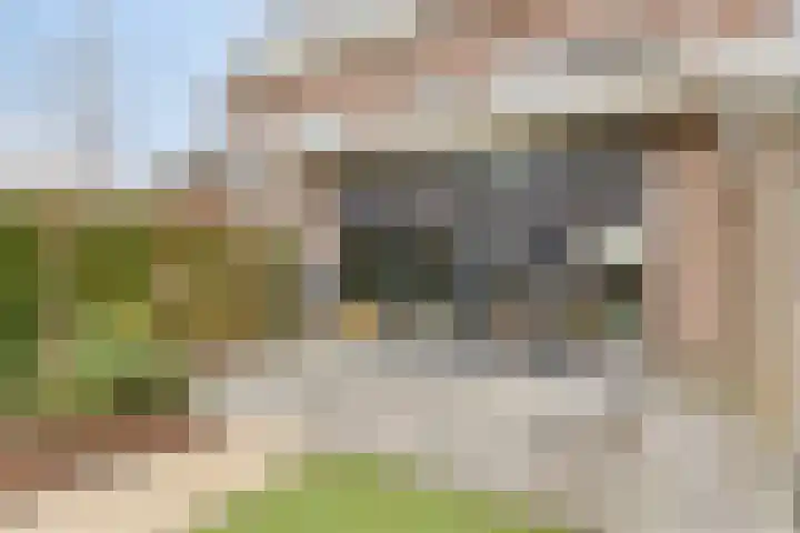 Valeriusstraat 21 Hazerswoude-Rijndijk thumbnail 26