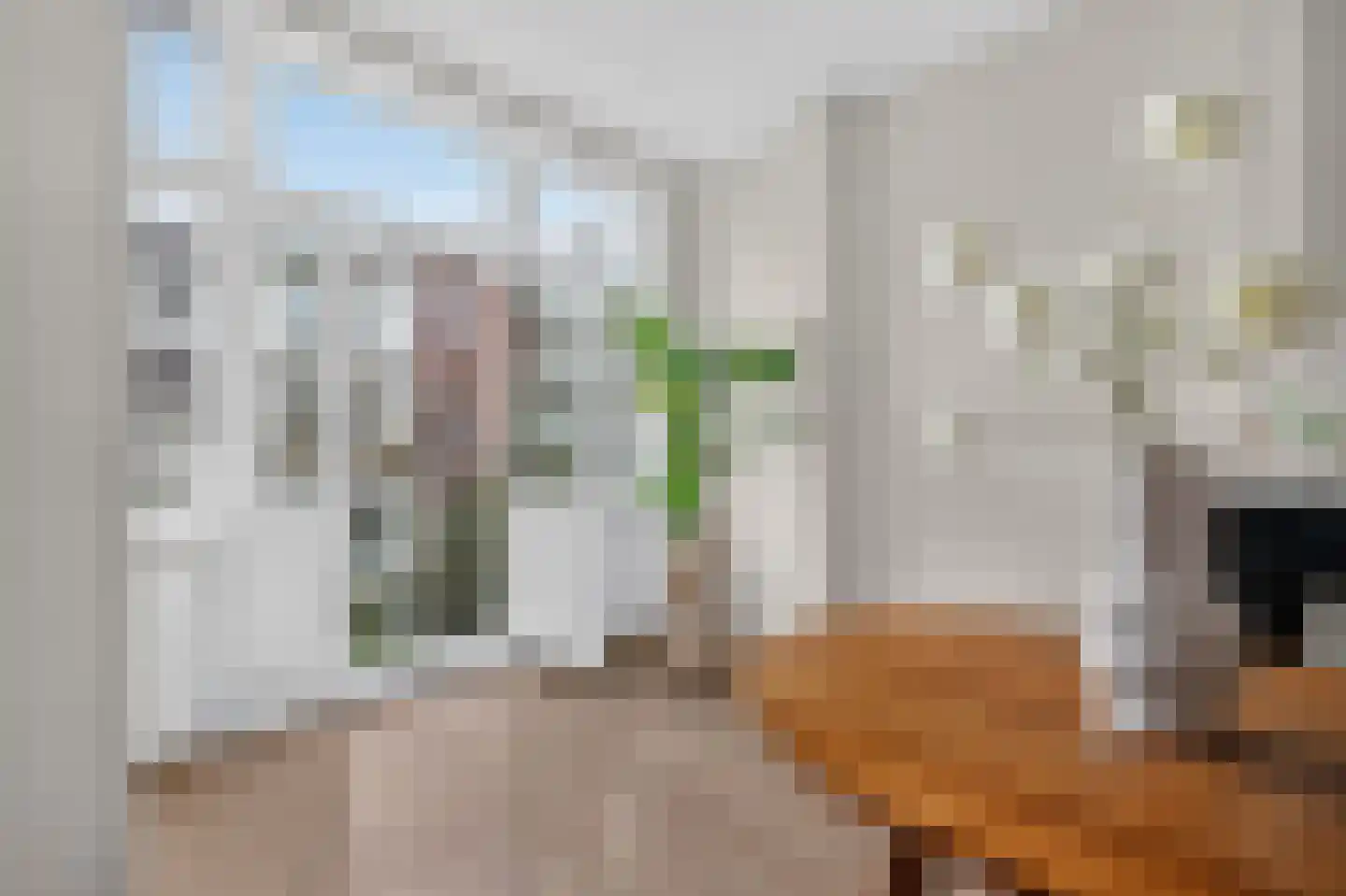 Valeriusstraat 218 2 Amsterdam thumbnail 15