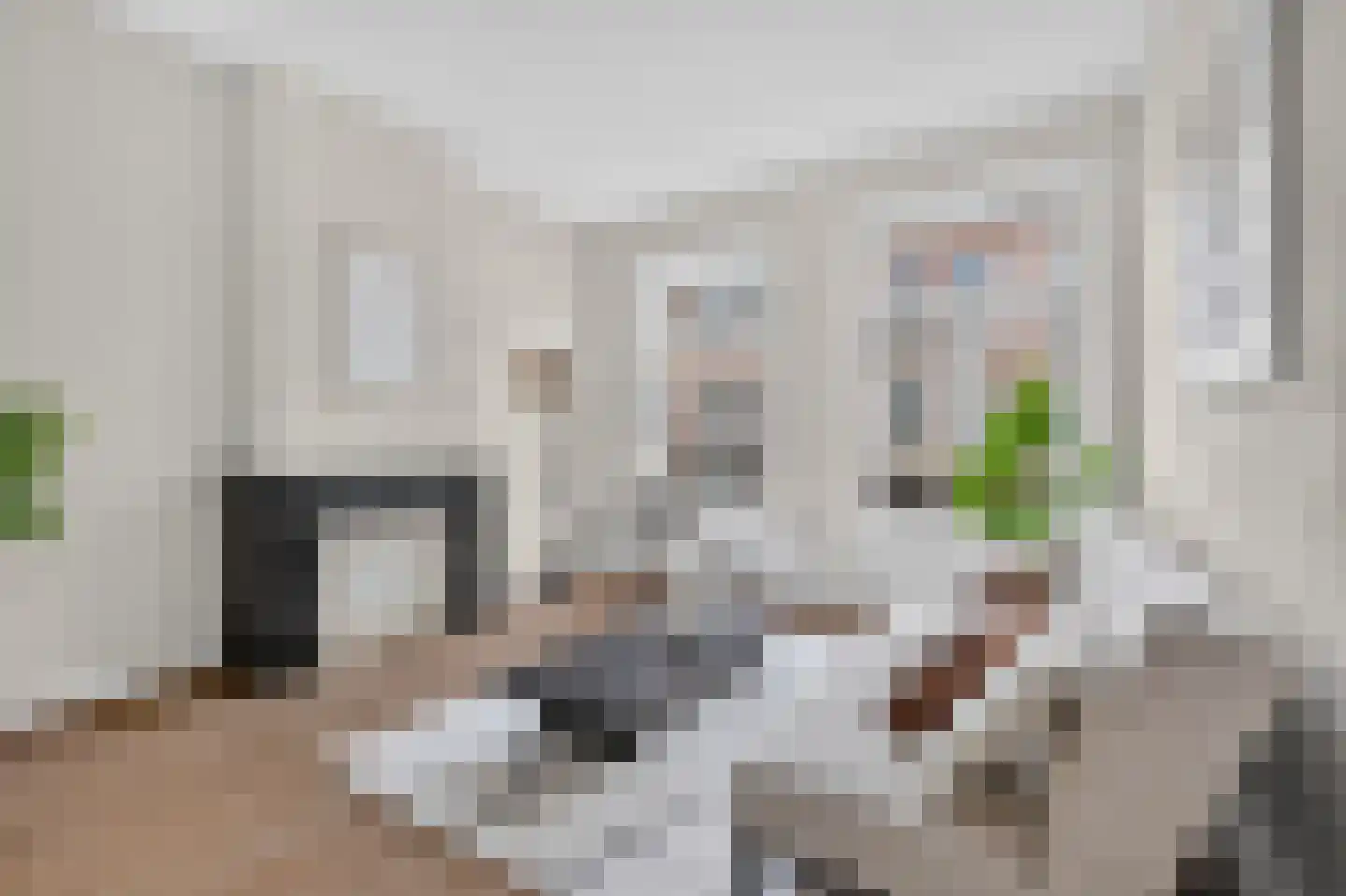 Valeriusstraat 218 2 Amsterdam thumbnail 7