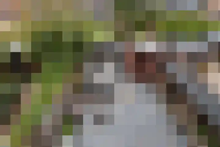 Valeriusstraat 22 Papendrecht thumbnail 12