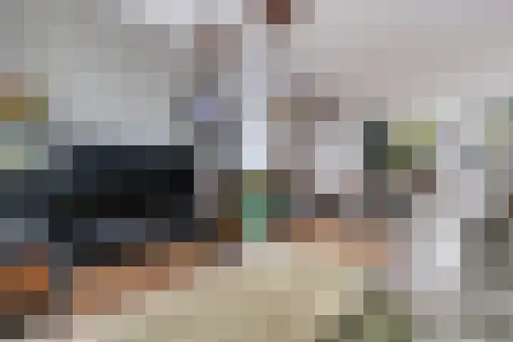 Valeriusstraat 22 Papendrecht thumbnail 4