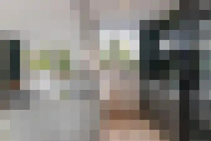 Valeriusstraat 22 Papendrecht thumbnail 6