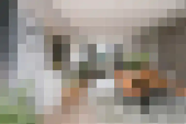 Valeriusstraat 22 Papendrecht thumbnail 8