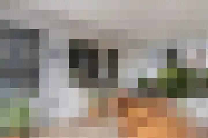 Valeriusstraat 22 Papendrecht thumbnail 9