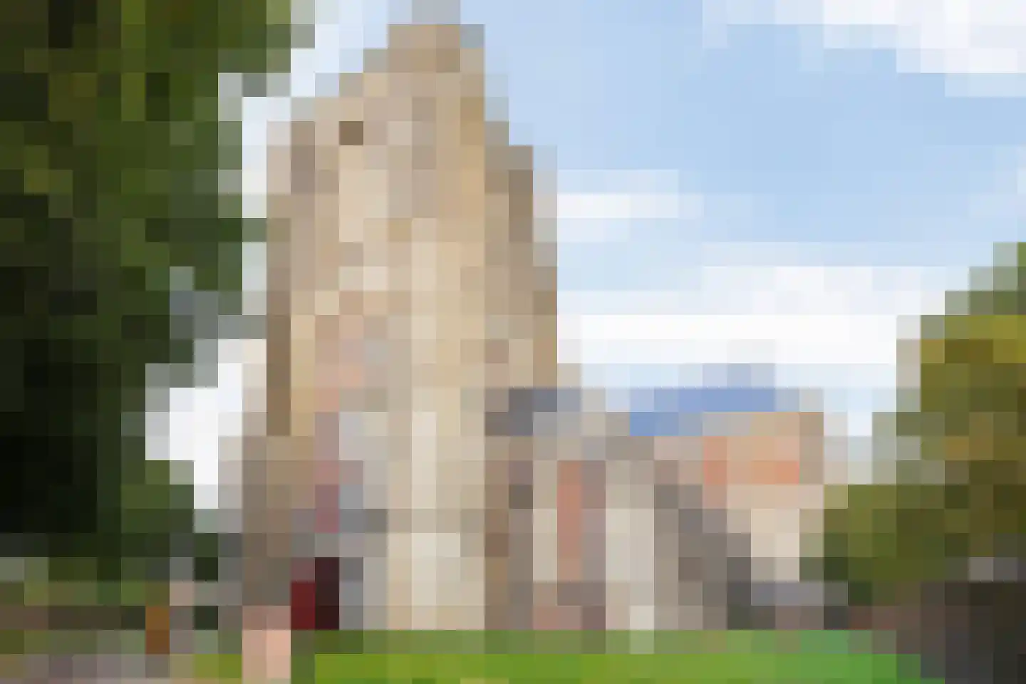 Valeriusstraat 23 Veere thumbnail 37