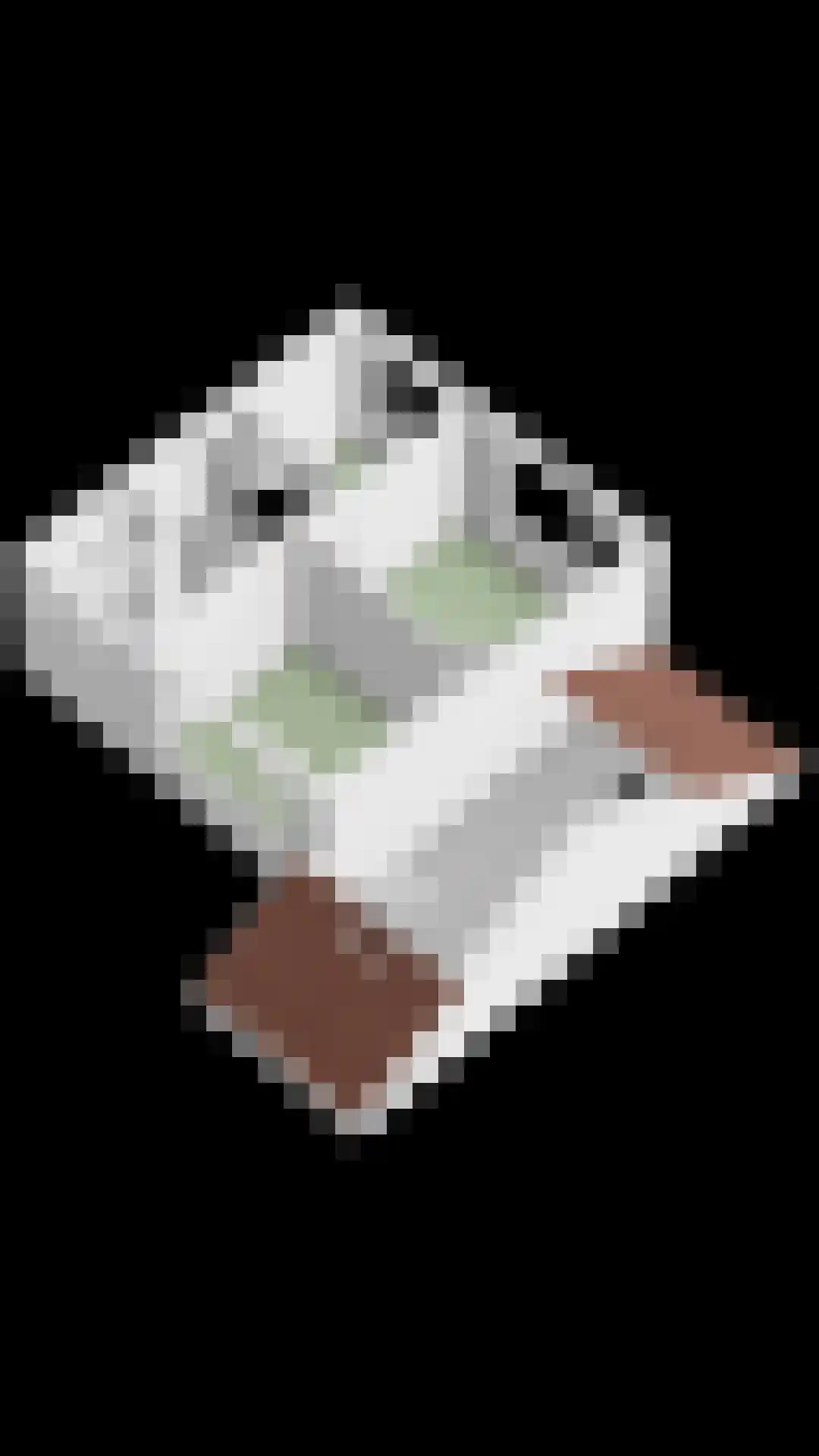 Valeriusstraat 23 Veere thumbnail 47