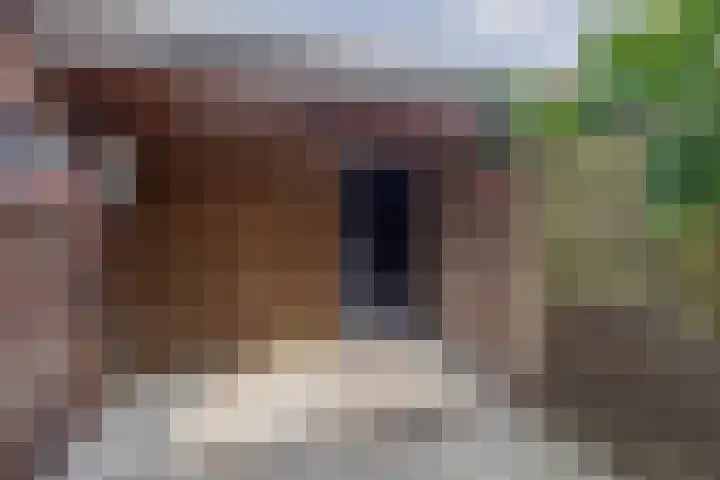 Valeriusstraat 24 Dordrecht thumbnail 30