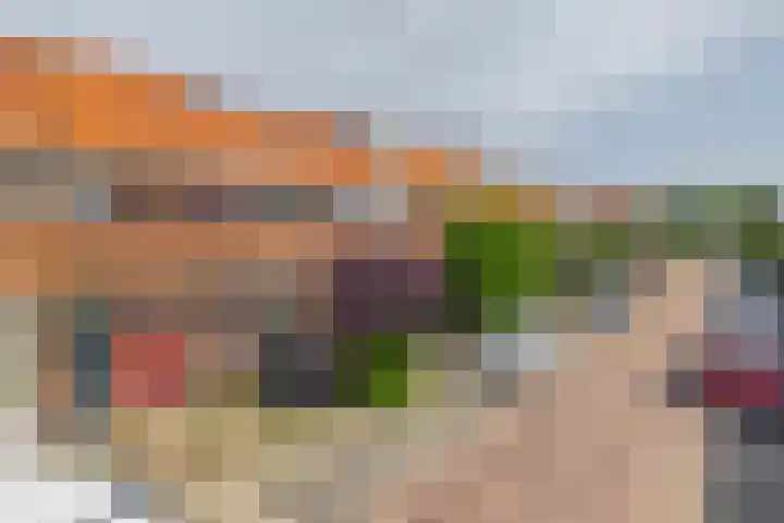 Valeriusstraat 24 Dordrecht thumbnail 6
