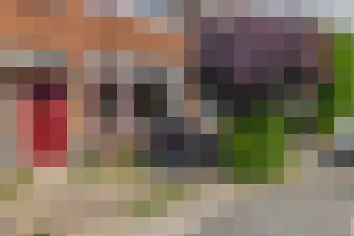 Valeriusstraat 24 Dordrecht thumbnail 7