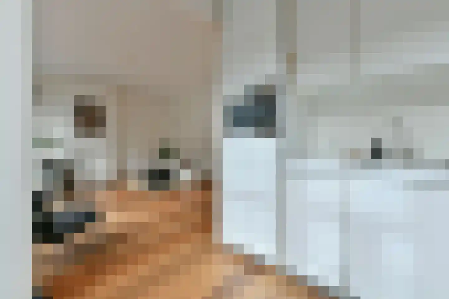 Valeriusstraat 240 H Amsterdam thumbnail 10