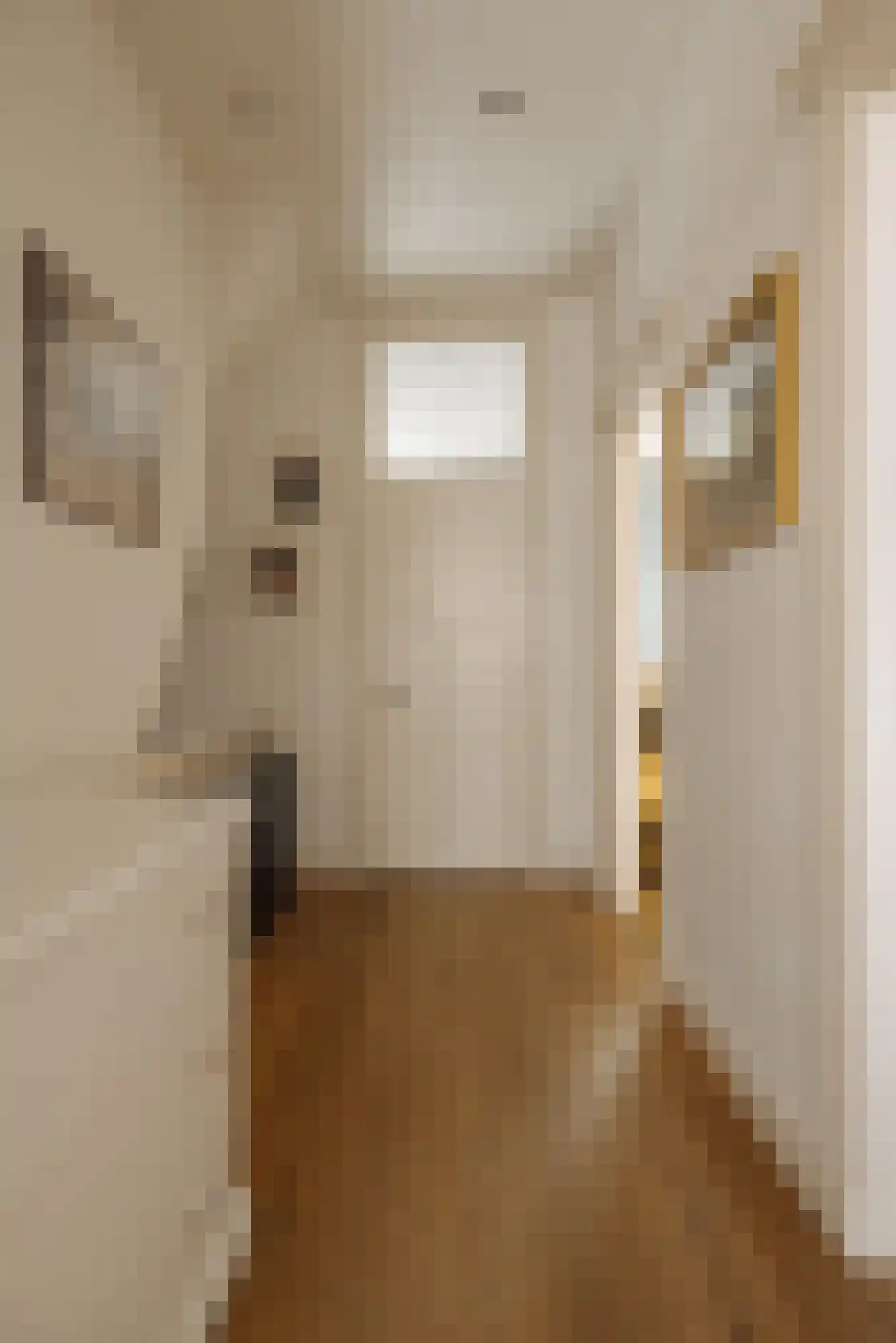 Valeriusstraat 249 2 Amsterdam thumbnail 15