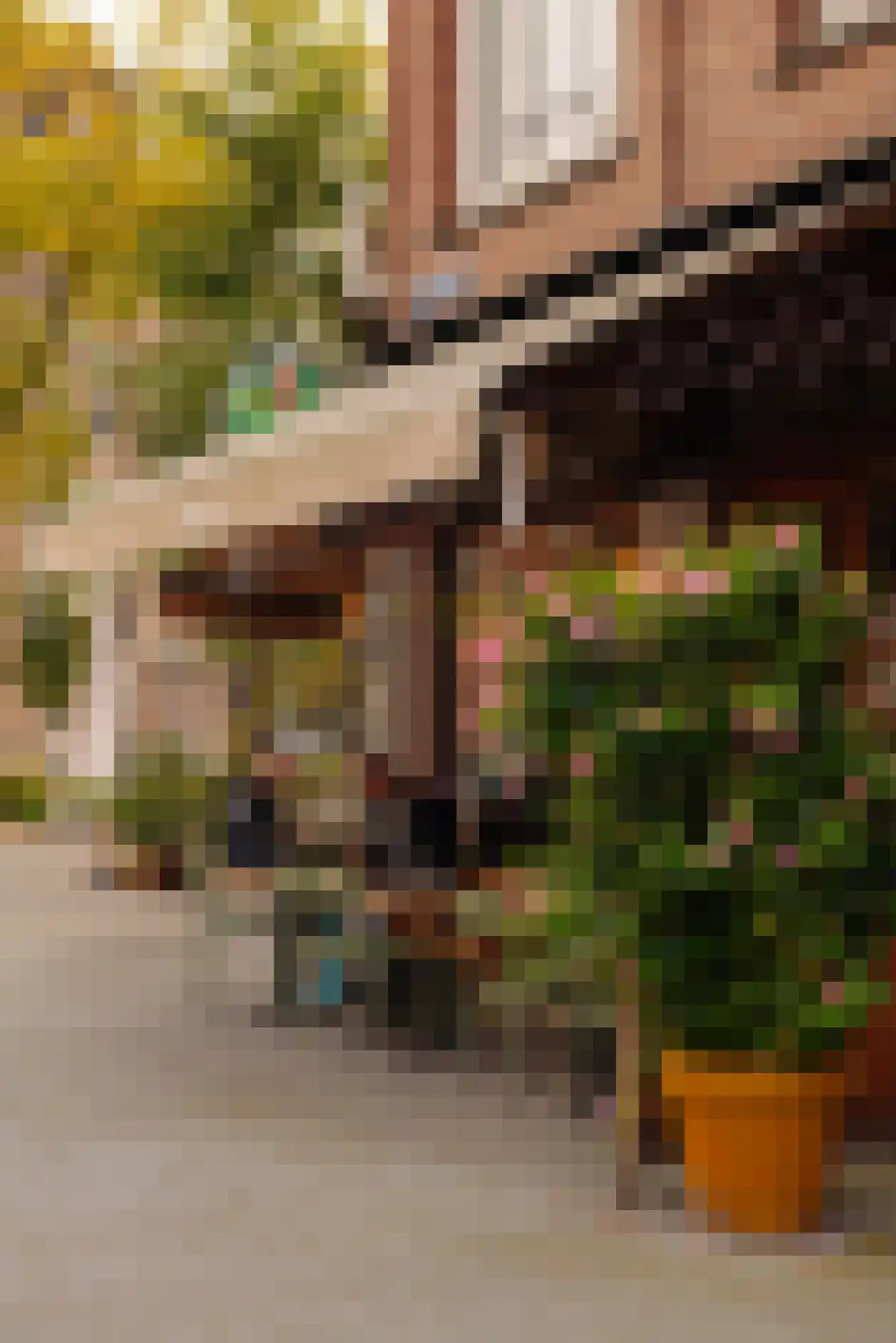 Valeriusstraat 249 2 Amsterdam thumbnail 26