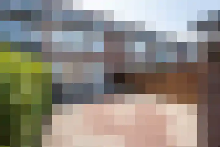 Valeriusstraat 25 Papendrecht thumbnail 28