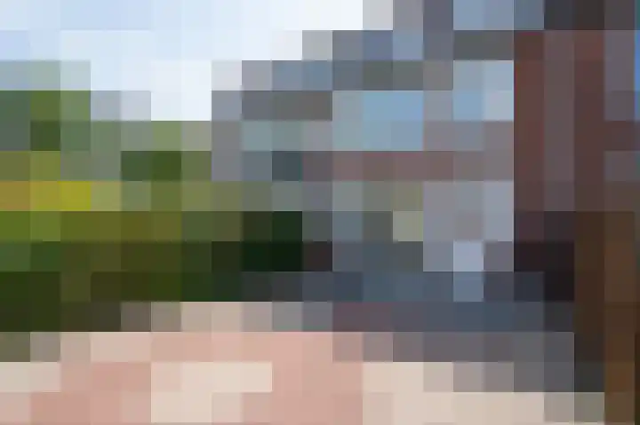 Valeriusstraat 25 Papendrecht thumbnail 29