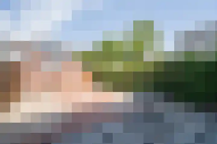 Valeriusstraat 25 Papendrecht thumbnail 4