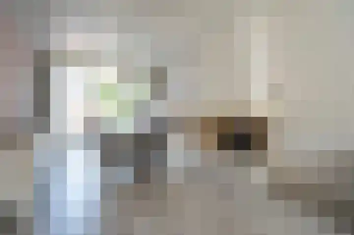 Valeriusstraat 25 Papendrecht thumbnail 8