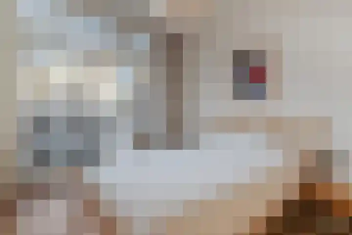 Valeriusstraat 250 H Amsterdam thumbnail 18