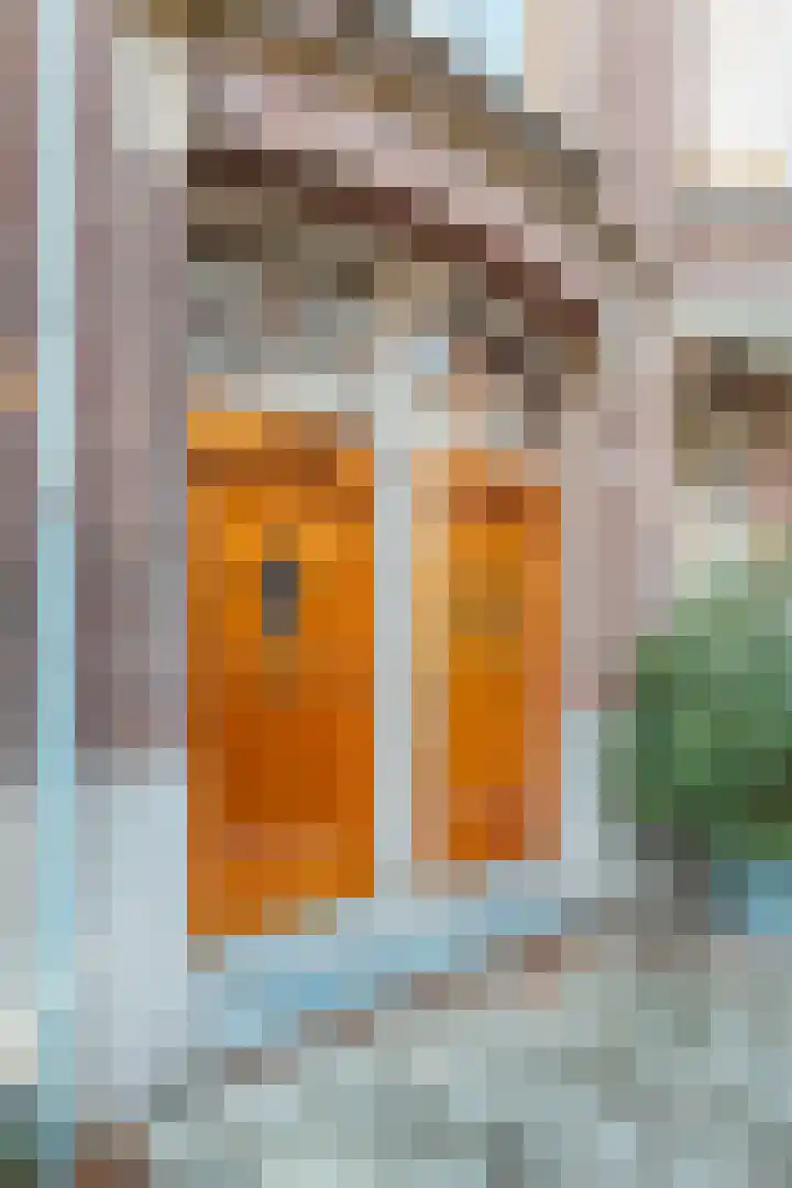Valeriusstraat 250 H Amsterdam thumbnail 5