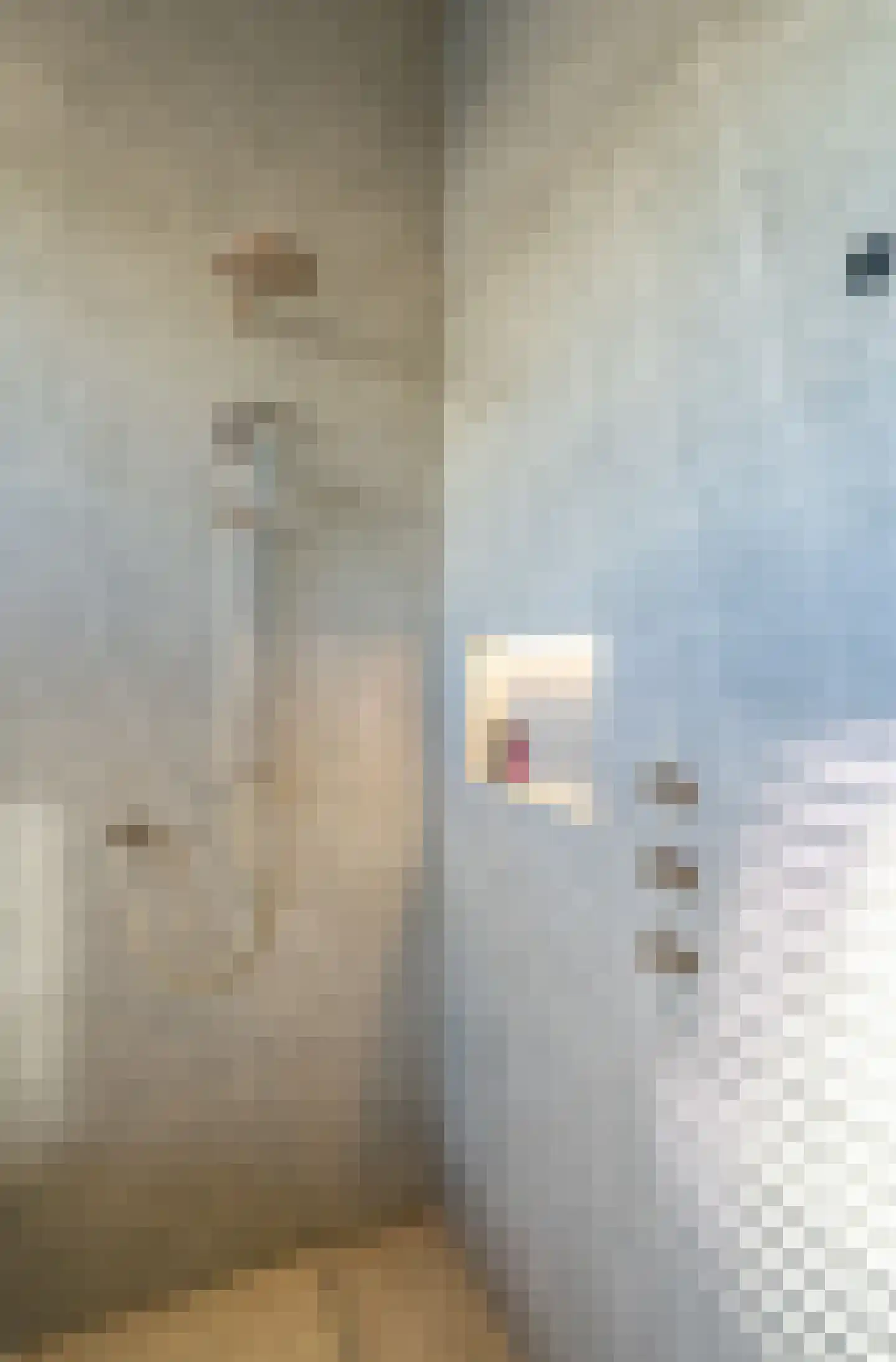 Valeriusstraat 251 2 Amsterdam thumbnail 43