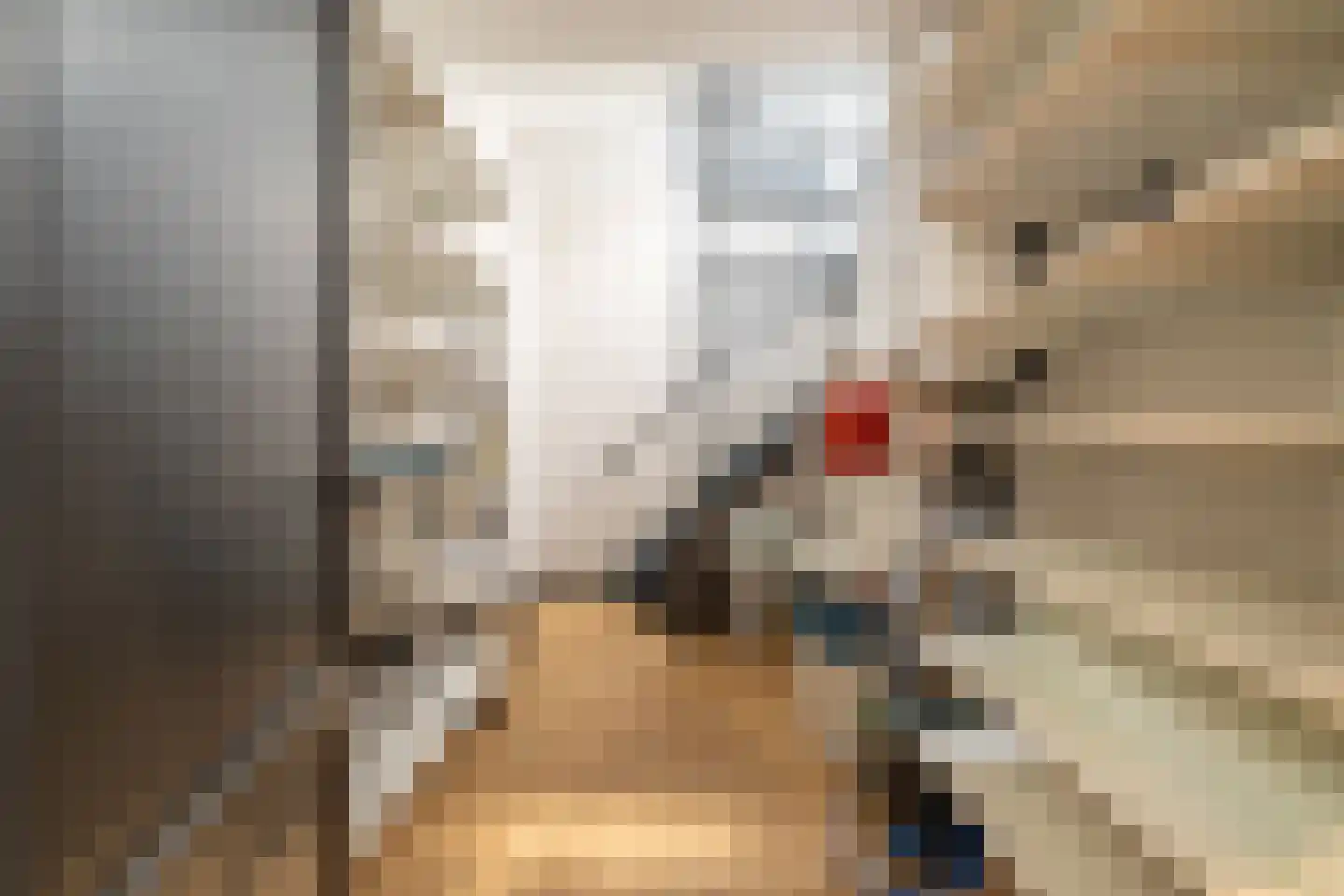 Valeriusstraat 251 2 Amsterdam thumbnail 51
