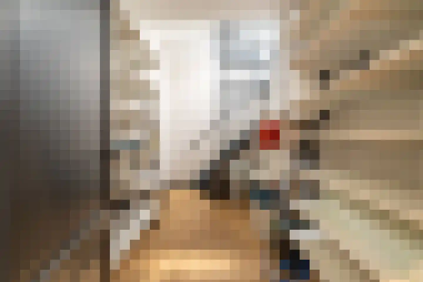 Valeriusstraat 251 2 Amsterdam thumbnail 52