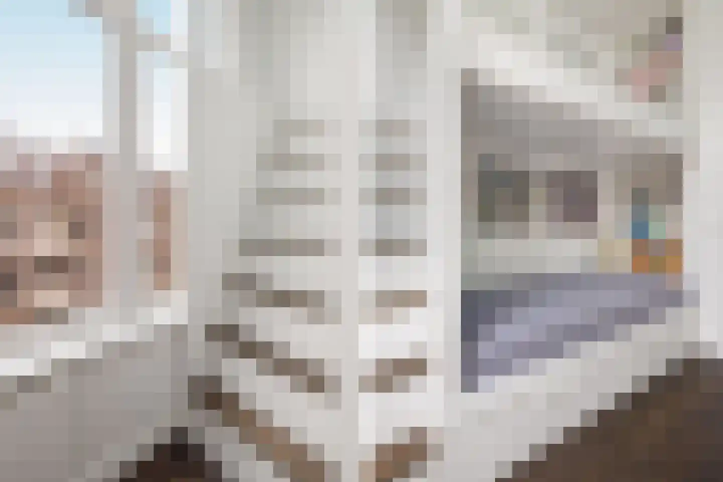 Valeriusstraat 255 2 Amsterdam thumbnail 17