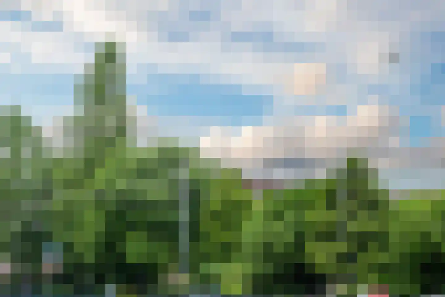 Valeriusstraat 255 2 Amsterdam thumbnail 36