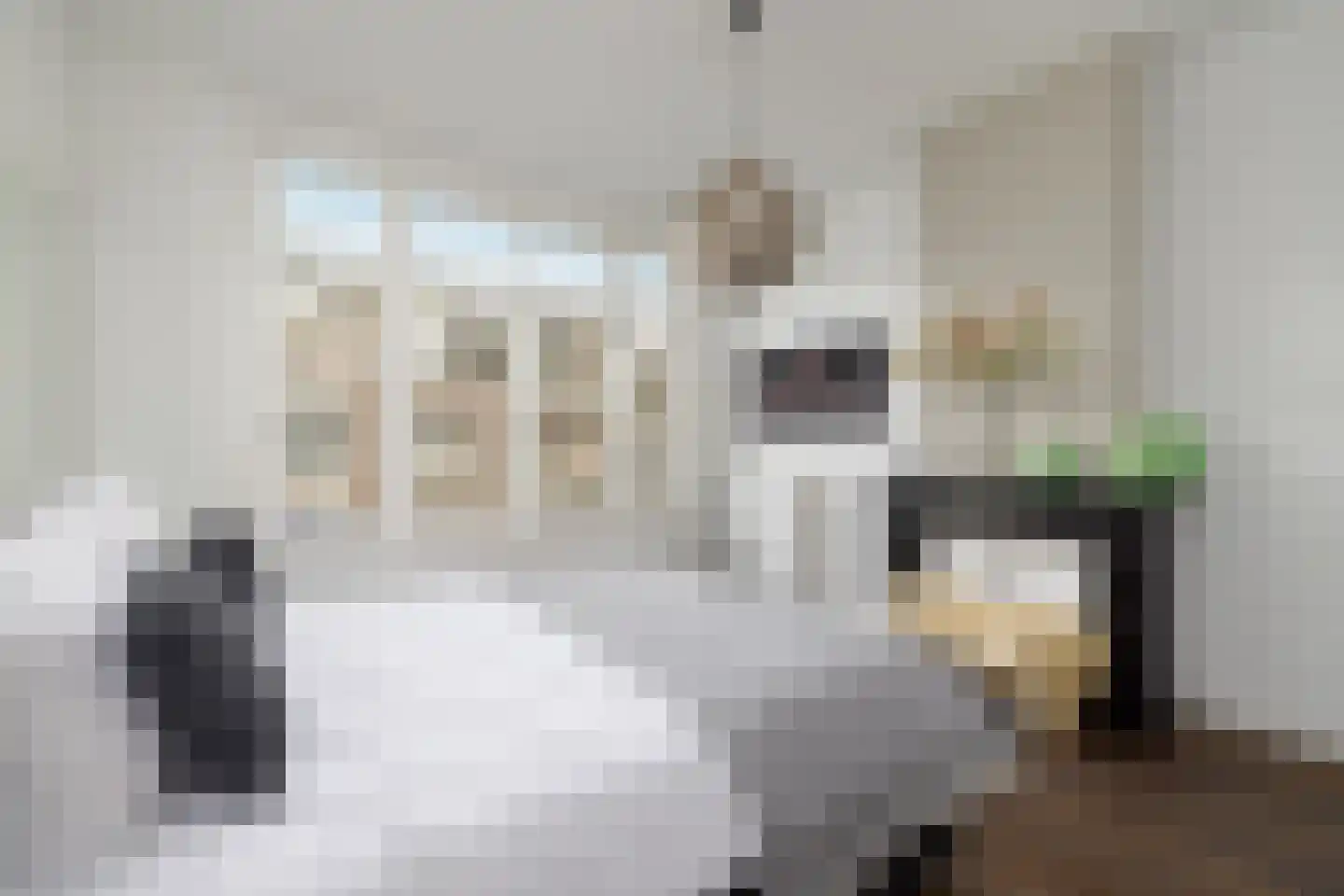 Valeriusstraat 255 2 Amsterdam thumbnail 5