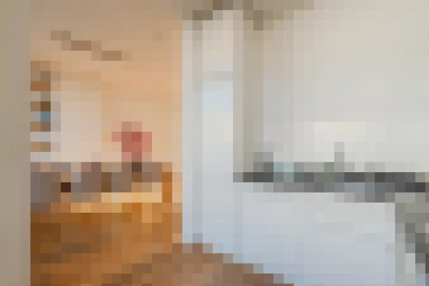 Valeriusstraat 278 H Amsterdam thumbnail 31