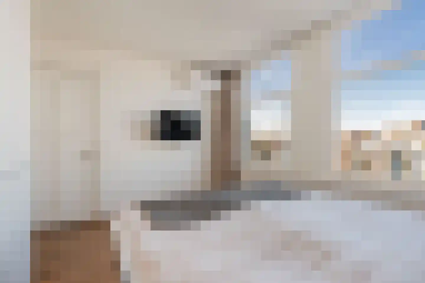 Valeriusstraat 278 H Amsterdam thumbnail 47