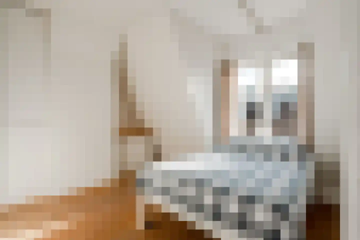 Valeriusstraat 278 H Amsterdam thumbnail 51