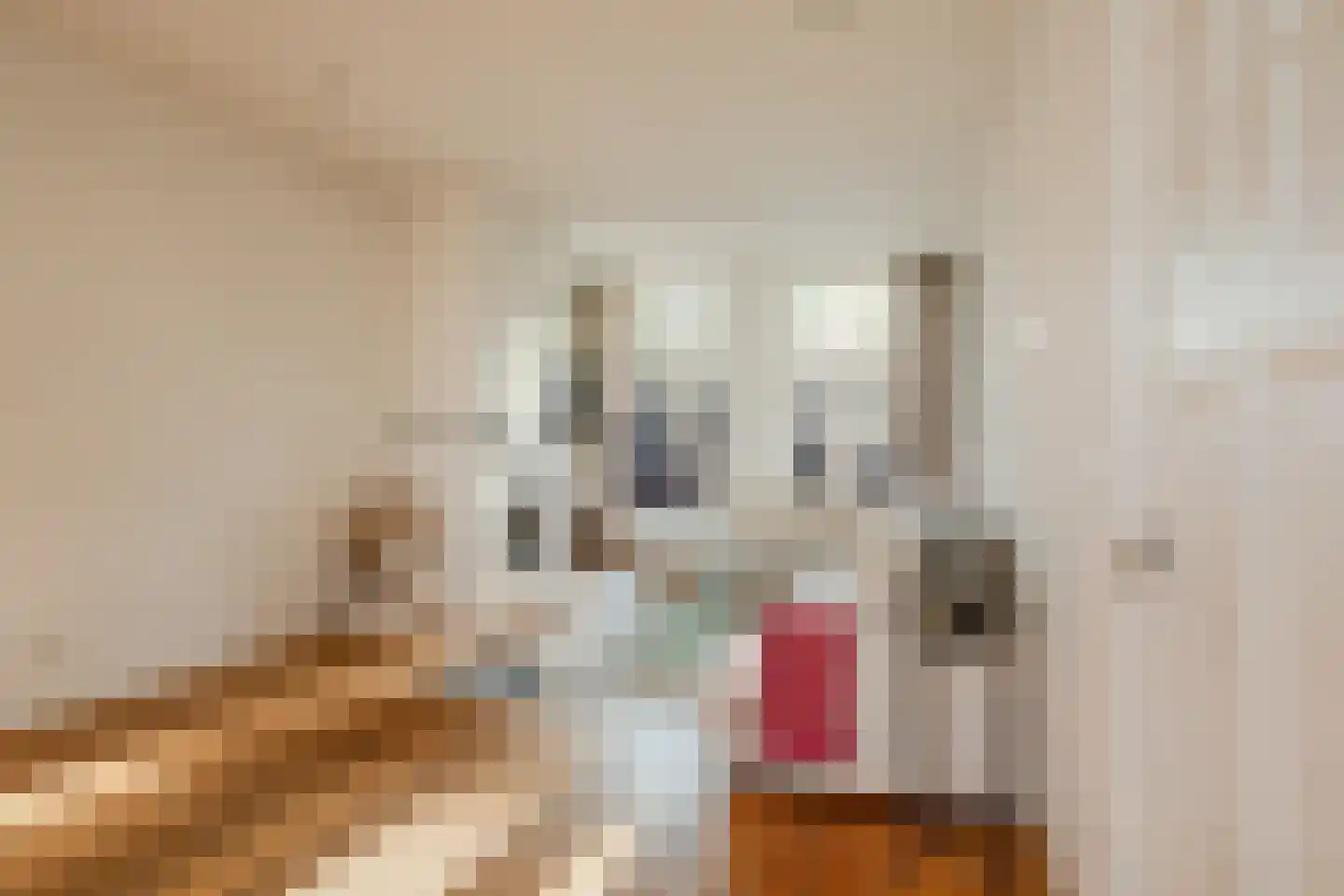 Valeriusstraat 278 H Amsterdam thumbnail 6