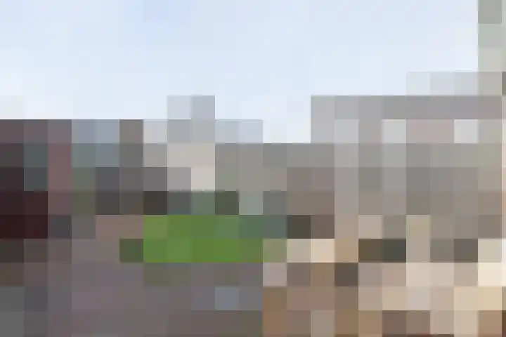 Valeriusstraat 28 Papendrecht thumbnail 4