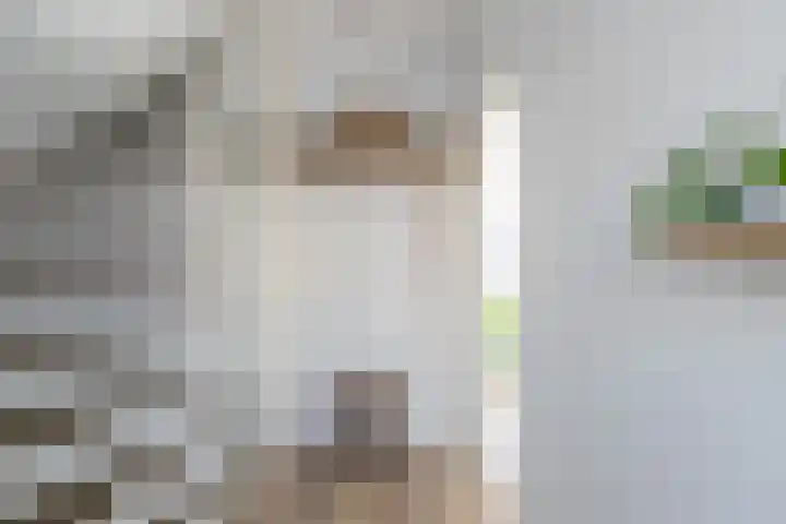 Valeriusstraat 28 Papendrecht thumbnail 7