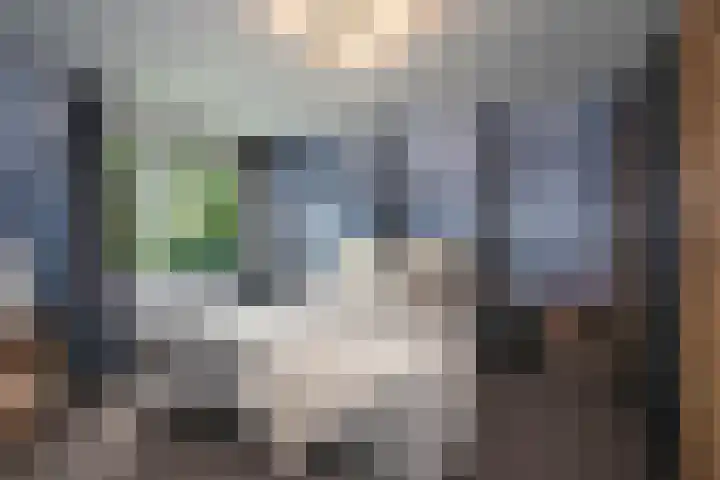 Valeriusstraat 32 Almelo thumbnail 13