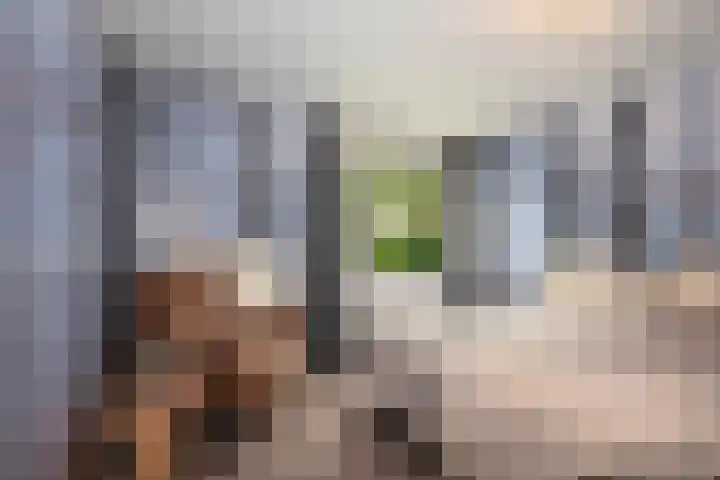 Valeriusstraat 32 Almelo thumbnail 14