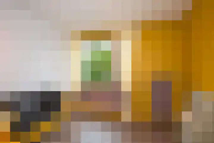 Valeriusstraat 32 Almelo thumbnail 18