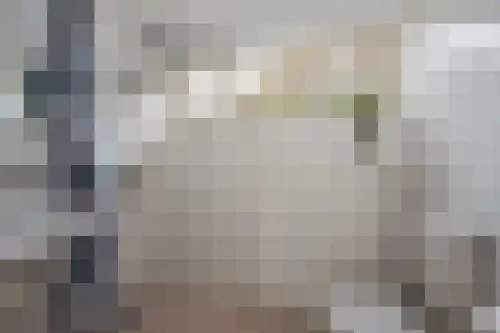 Valeriusstraat 32 Almelo thumbnail 20