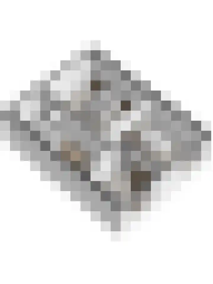 Valeriusstraat 32 Almelo thumbnail 34