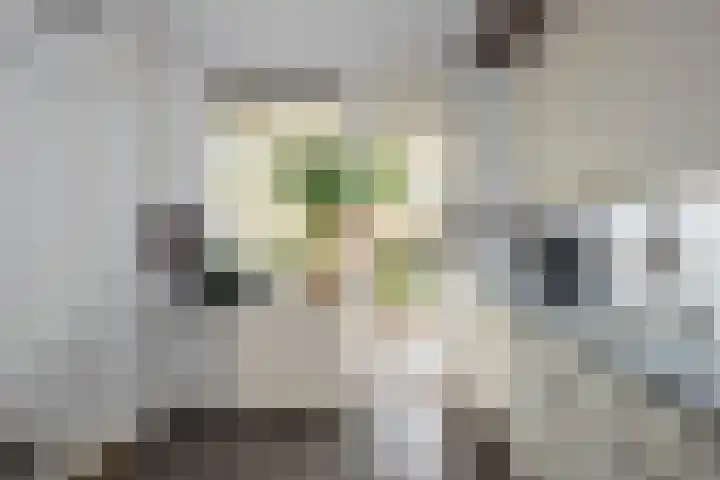 Valeriusstraat 32 Almelo thumbnail 8