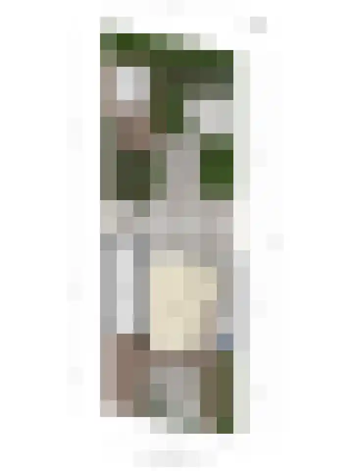 Valeriusstraat 37 Veere thumbnail 30
