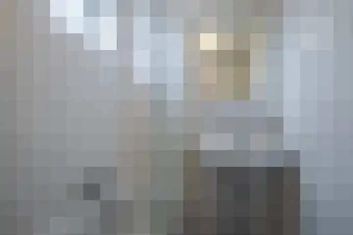 Valeriusstraat 38 Zevenaar thumbnail 15