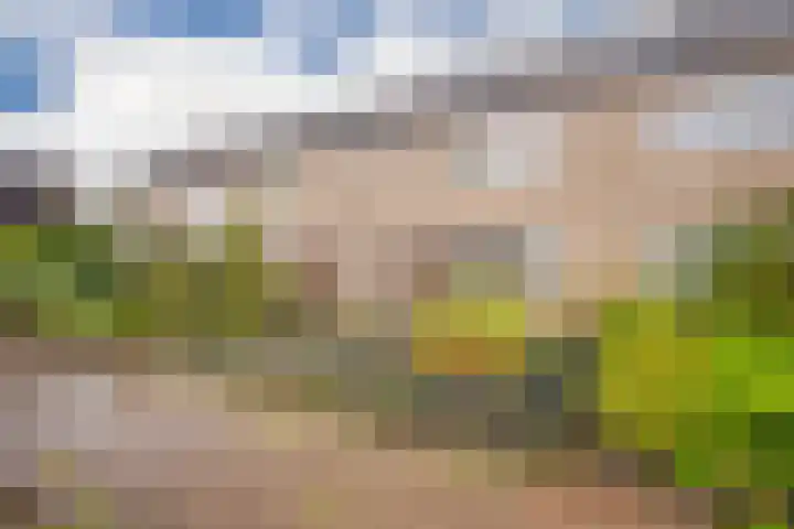 Valeriusstraat 38 Zevenaar thumbnail 7