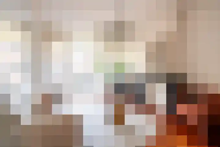 Valeriusstraat 39 2 Amsterdam thumbnail 6