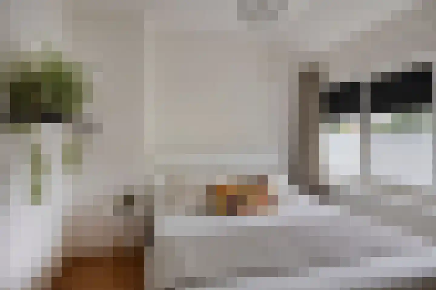 Valeriusstraat 41 Hengelo thumbnail 18